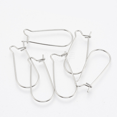 Tarnish Resistant 304 Stainless Steel Hoop Earrings STAS-T031-01-1