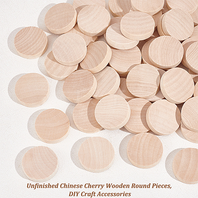 Unfinished Schima Wooden Round Pieces WOOD-WH0027-73-1