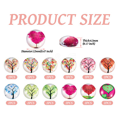 24Pcs 12 Style Glass Cabochon GLAA-TA0001-71-1