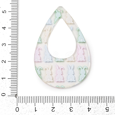 Printed Transparent Acrylic Pendants FIND-K017-15B-02-1