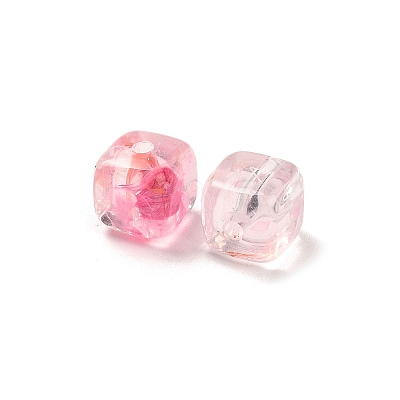Transparent Acrylic Beads OACR-Z030-02B-1