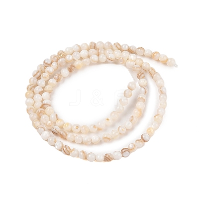 Natural Freshwater Shell Beads Strands SHEL-T011-02-3mm-1