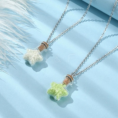 2Pcs 2 Color Luminous Glass Star Bottle Pendant Necklace NJEW-JN04522-1
