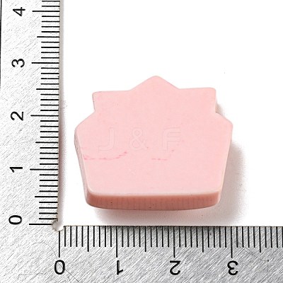 Birthday Theme Opaque Resin Decoden Cabochons CRES-F032-A08-1