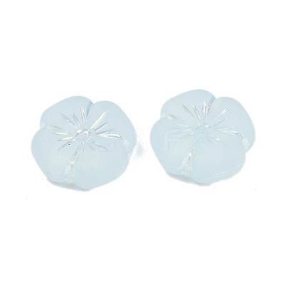 Frosted Transparent Acrylic Beads OACR-P029-19B-06-1