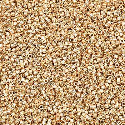 MIYUKI Delica Beads X-SEED-J020-DB2501-1