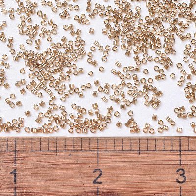 MIYUKI Delica Beads X-SEED-J020-DB1221-1