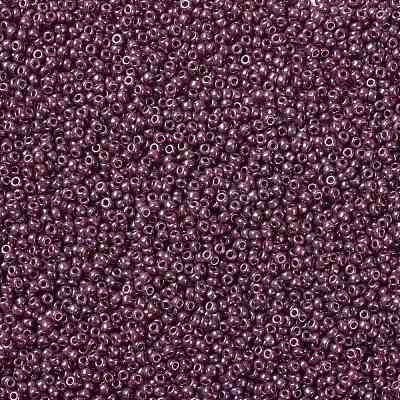 MIYUKI Round Rocailles Beads SEED-JP0009-RR0313-1