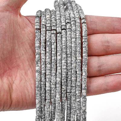 Dyed Synthetic Turquoise Beads Strands G-Z089-A04-A-1
