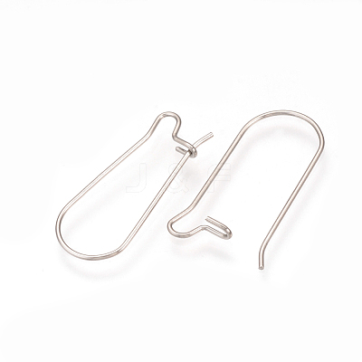 Tarnish Resistant 304 Stainless Steel Hoop Earrings Findings STAS-Q223-11A-1