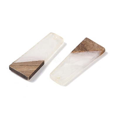 Resin & Wood Pendants WOOD-F015-04D-1