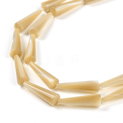 Natural Trochus Shell Beads Strands BSHE-G036-04-1