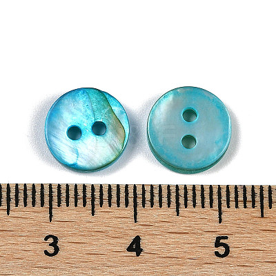 Freshwater Shell Buttons SHEL-C005-01C-11-1