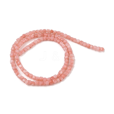 Natural Freshwater Shell Dyed Beads Strands SHEL-R100-11A-01-1