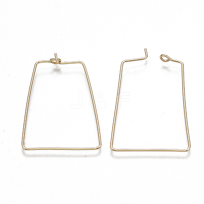 Brass Earring Hooks KK-T038-425G-1