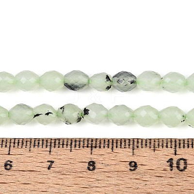 Natural Prehnite Beads Strands G-T142-82-1