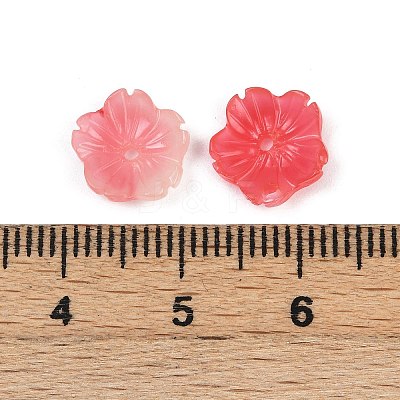 Shell Powder Beads X-BSHE-L038-01B-1