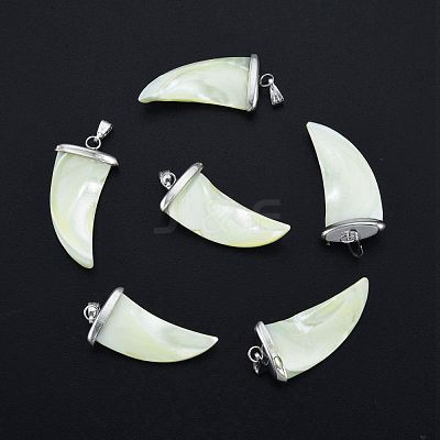 Natural Trochid Shell/Trochus Shell Pendants SSHEL-G024-06P-1