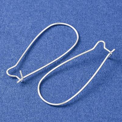 Brass Hoop Earrings Findings Kidney Ear Wires EC221-S-1