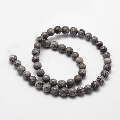 Natural Map Stone/Picasso Stone/Picasso Jasper Round Beads Strands G-E329-10mm-47-1