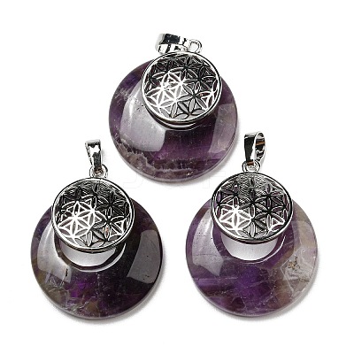 Natural Amethyst Pendants KK-F751-M-A03-1