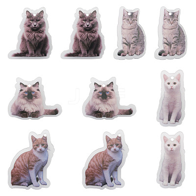 10Pcs 5 Styles Printed Acrylic Pendants OACR-TA0004-13-1