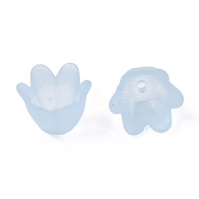 Transparent Acrylic Bead Caps FACR-N005-002D-1