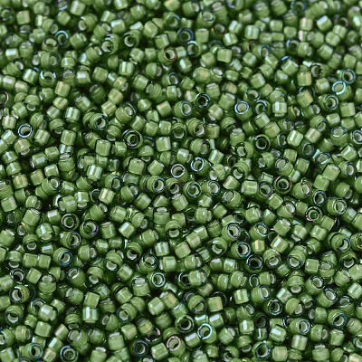 MIYUKI Delica Beads SEED-X0054-DB1786-1