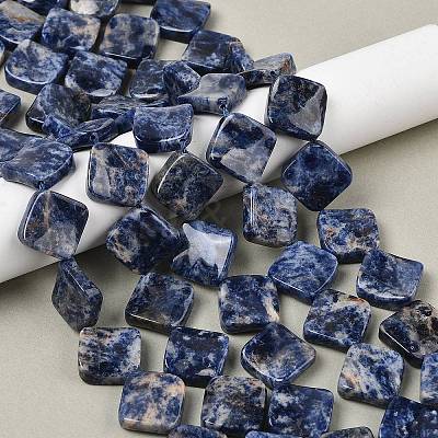 Natural Blue Spot Jasper Beads Strands G-L239-17-1