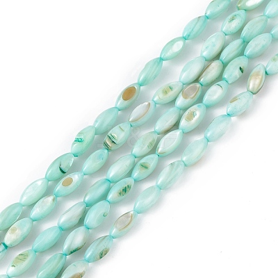 Natural Freshwater Shell Dyed Beads Strands SHEL-M018-13-02-1