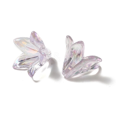 Transparent Acrylic Bead Caps OACR-H016-05B-1