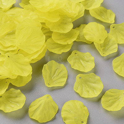 Transparent Frosted Acrylic Pendants MACR-S371-01A-717-1