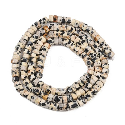 Natural Dalmatian Jasper Beads Strands G-G345-C14-2x4mm-1