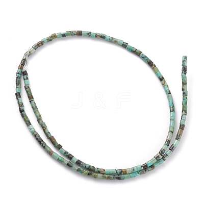 Natural African Turquoise(Jasper) Beads Strands G-H255-08-1
