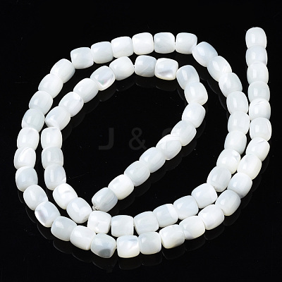 Natural Trochid Shell/Trochus Shell Beads Strands SSHEL-N034-121-B01-1