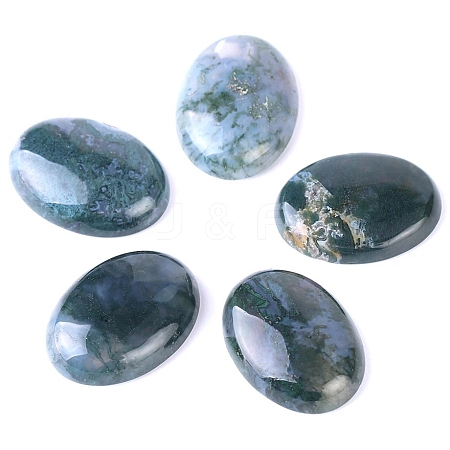 Natural Indian Agate Cabochons PW-WG8E62B-03-1