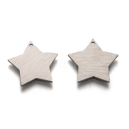 Tarnish Resistant 304 Stainless Steel Pendants STAS-O133-03F-P-1