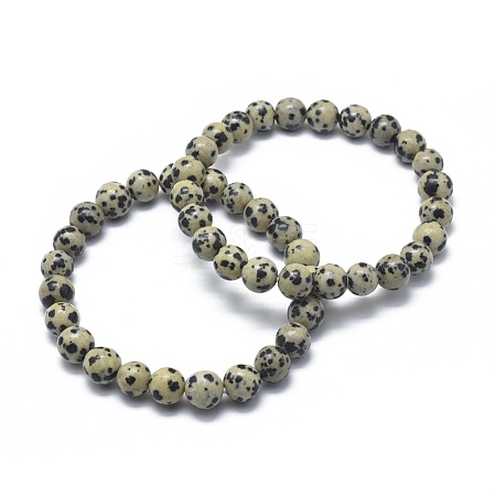 Natural Dalmatian Jasper Bead Stretch Bracelets BJEW-K212-C-014-1