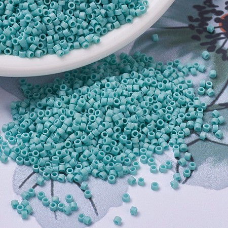 MIYUKI Delica Beads Small X-SEED-J020-DBS0878-1