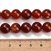 Natural Carnelian Beads Strands GG-CBA1CAF-A01-10mm-4