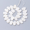 Natural White Shell Beads X-SSHEL-Q298-07-2