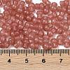 Transparent Colours Glass Seed Beads SEED-R001-01J-4