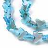 Natural Freshwater Shell Beads Strands SHEL-N026-206A-3