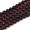 Natural Amber Beads Strands G-K387-D01-02-1