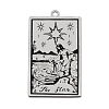 Non-Tarnish 201 Stainless Steel Pendants STAS-S105-LA211-8-1