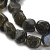 Natural Larvikite Beads Strands G-P497-01E-85-4