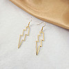 Lightning Bolt Alloy Dangle Earrings FS-WG713DC-01-1
