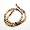 Round Natural Crazy Lace Agate Beads Strands G-P058B-01-1