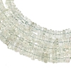 Natural Green Quartz Beads Strands G-Z152-F02-02-4