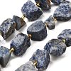 Raw Rough Natural Blue Spot Jasper Beads Strands G-Z087-B01-2